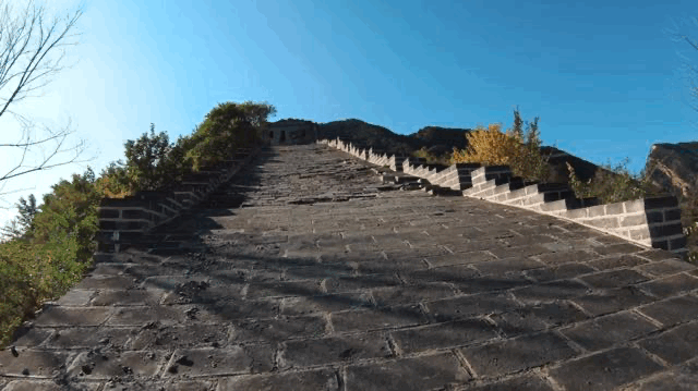 XxjpsgC007097_20231203_CBMFN0A006.gif