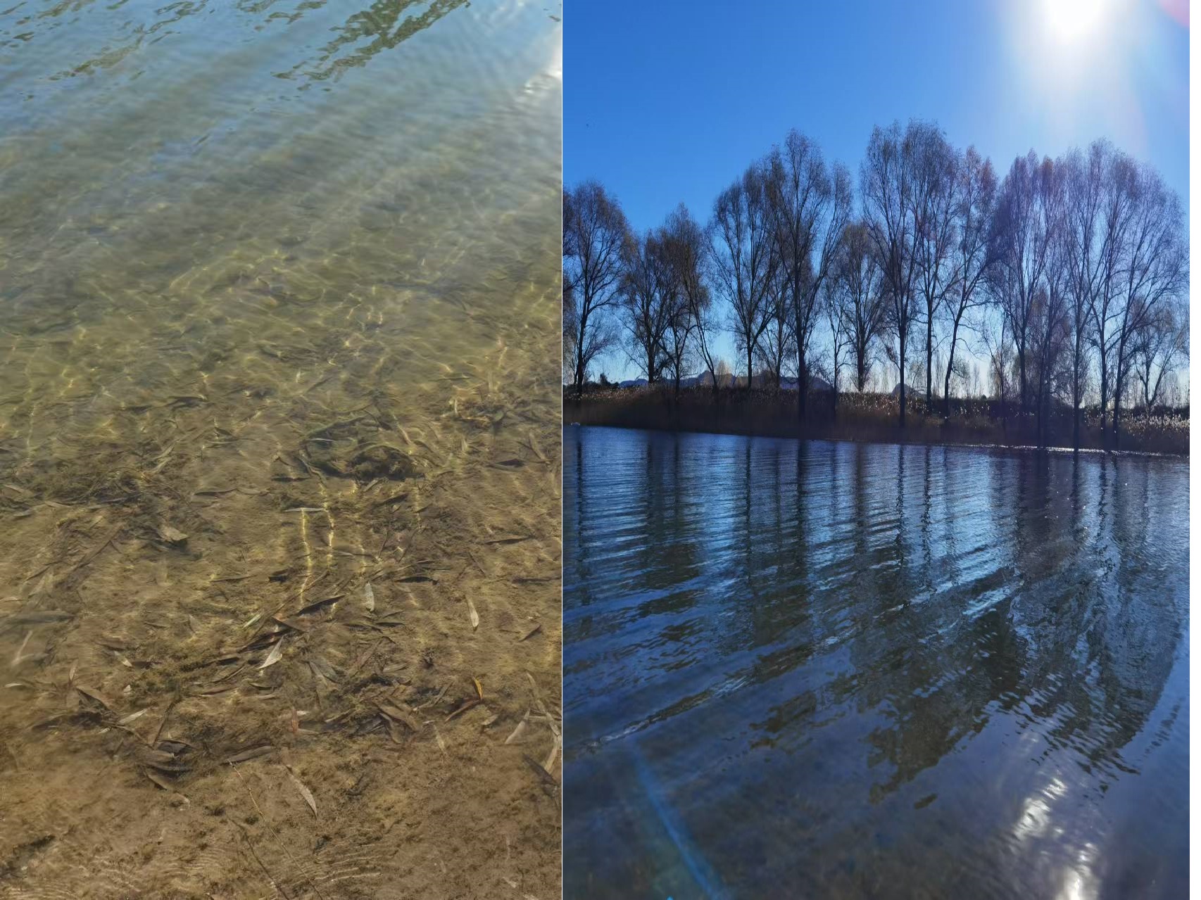 图片1.jpg 图片1.jpg