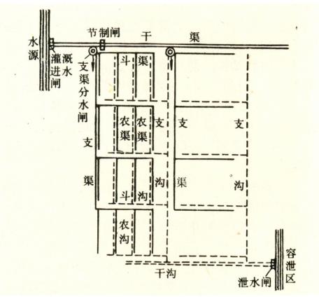 389.jpg